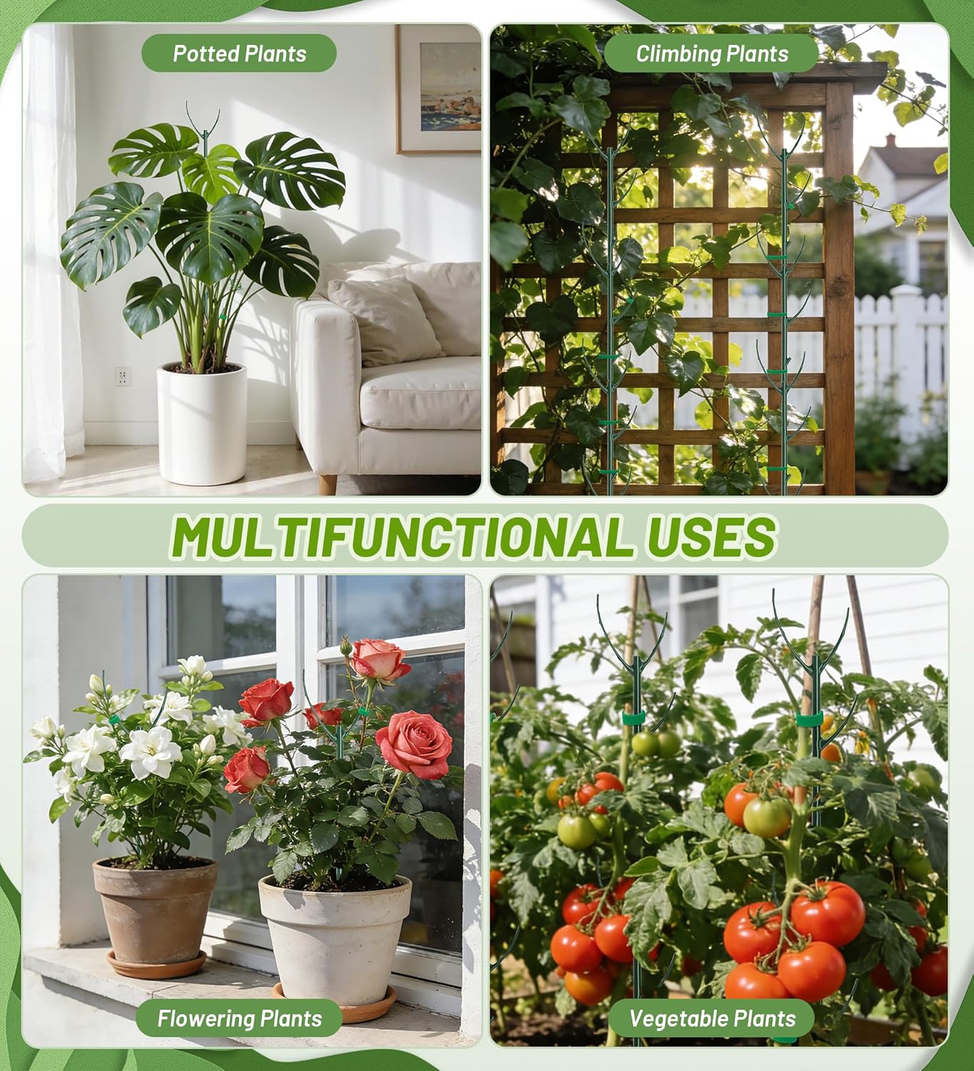 Skiennix Plant Support Stakes - 6 Stackable Poles with 20 Clips & Tie for Monstera Climbing Plants, Green