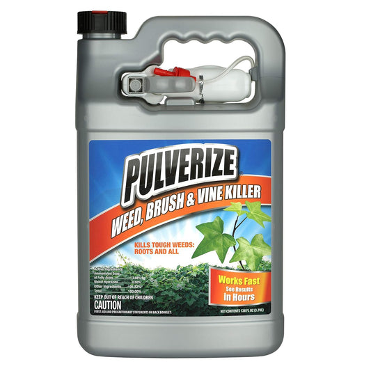 Regine Switzerland Weed and Grass Killer Spray - Fast-Acting, Non-Staining Herbicide - Kid & Pet Safe - 1 Gallon