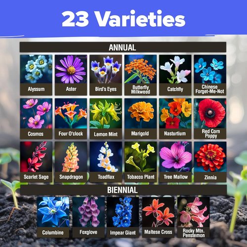 Home Grown Premium Wildflower Seeds - 134,000+ Non-GMO Native Seeds for Butterfly Gardens | 23 Varieties (3oz)