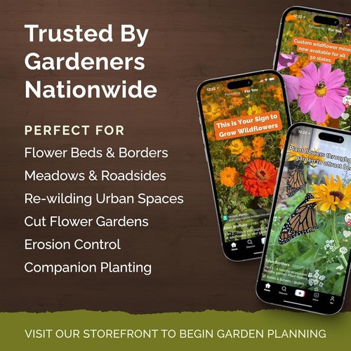 Eden Brothers Wildflower Mixed Seeds - Deer Resistant, Attracts Pollinators | 1/4 lb, 120,000+ Seeds