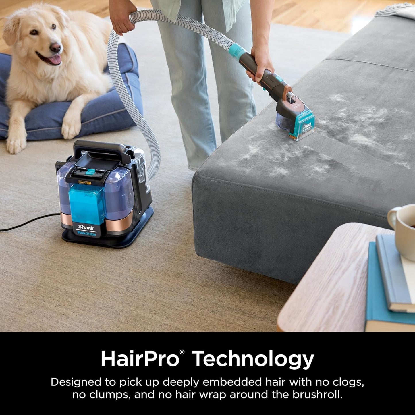 Shark StainStriker HairPro Portable Carpet Cleaner - Self-Cleaning with Pet Hair Tools & Solutions | Copper, 4 Cleaning Tools