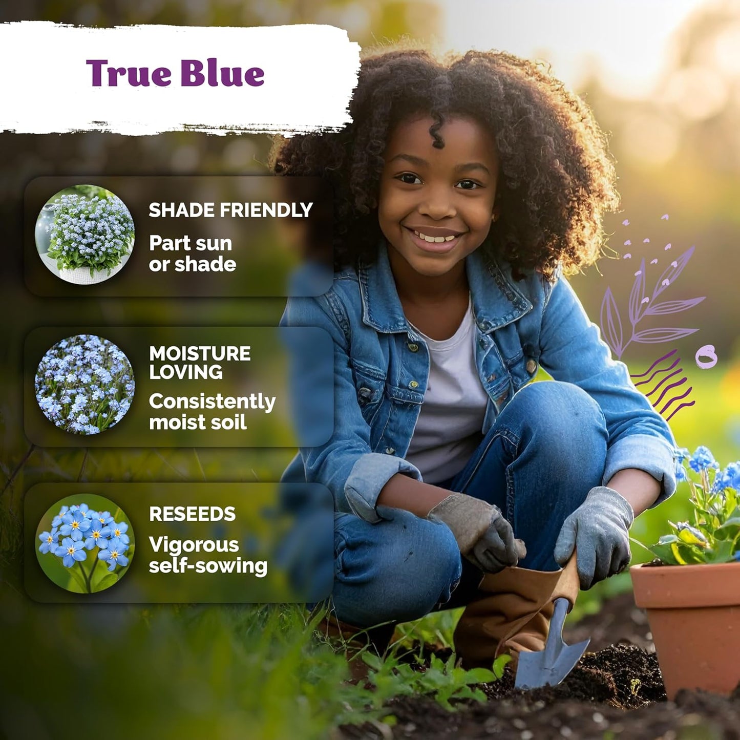 KVITER 1200 Forget Me Not Seeds - Charming Blue Spring Flowers for Shady Gardens | Easy to Grow Ground Cover