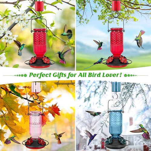 Feed Garden Glass Hummingbird Feeder - 16oz Capacity, Ant Moat & Bee-Proof Ports, Easy to Clean, Pink