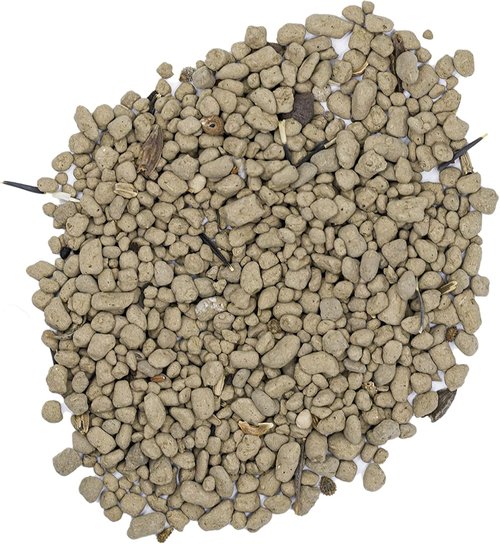 Earth Science Wildflower Seed Mix - 3-in-1 Premium Blend for Butterflies & Hummingbirds | 6 lb Non-GMO