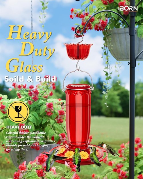 iBorn Hummingbird Feeder - 8-Port Glass Design with Ant Moat | 16oz Capacity, Yellow Flowers & Red Glass