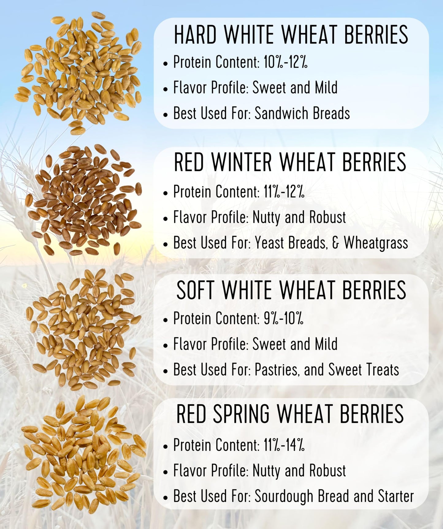 Palouse Brand Certified Glyphosate Residue Free Hard Red Spring Wheat Berries | 5 LBS | 100% Non-Irradiated | Certified Kosher Parve | USA Grown | Non-GMO Project Verified