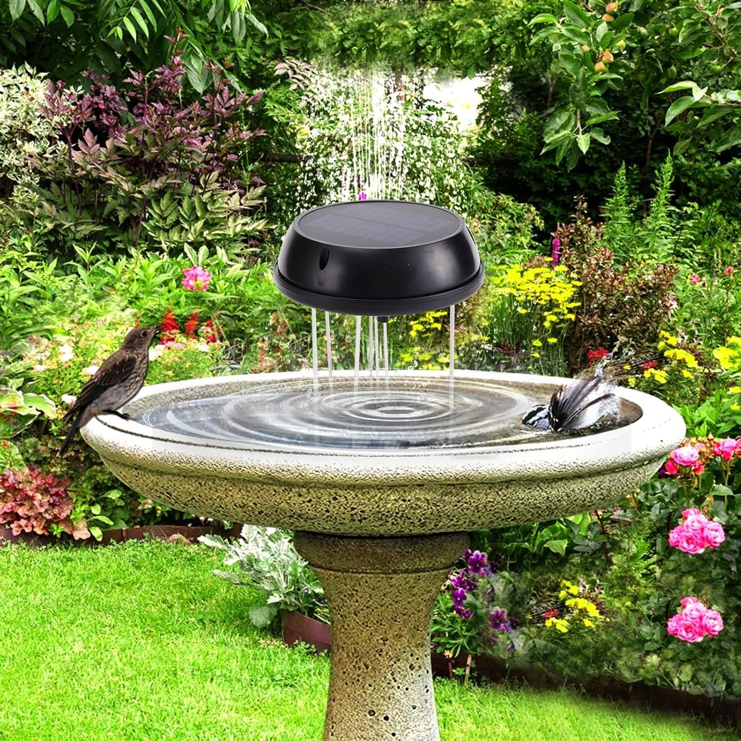 Skiennix Solar Bird Bath Swing Device - Stainless Steel Bubble Enhancer for Garden Ponds & Pools