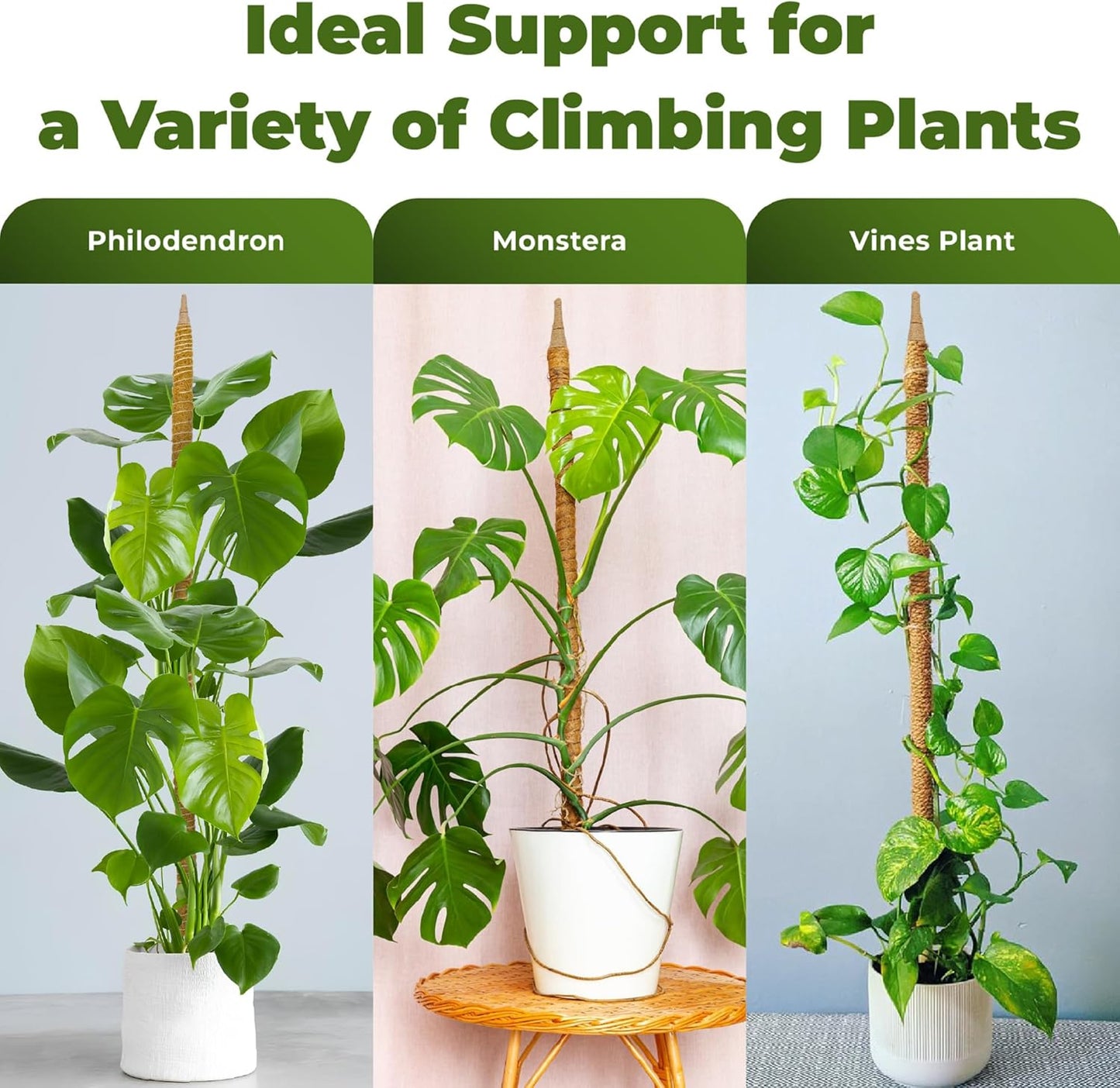 Monstera Plant Support - 2 Pack 48'' Bendable Moss Poles for Indoor Climbing Plants | Trellis Stakes