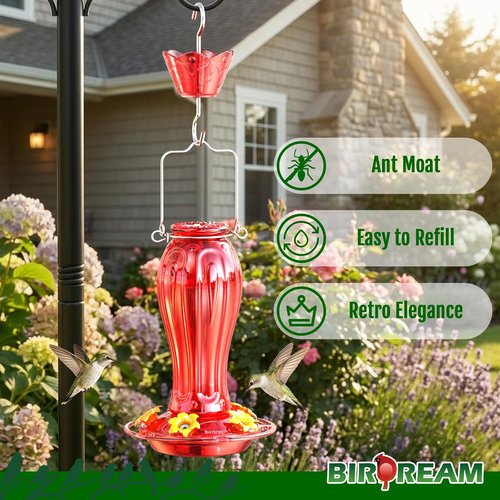 Birdream Hummingbird Feeder - 18oz Glass Design with 5 Feeding Ports & Ant Moat | Red Garden Decor
