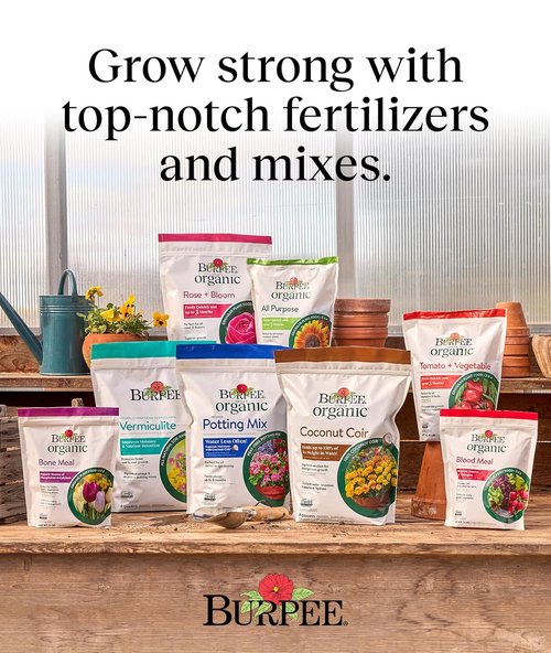 Burpee Organic Blood Meal Fertilizer - Natural Nitrogen Source for Tomatoes & Leafy Greens | 3 lb, 1-Pack