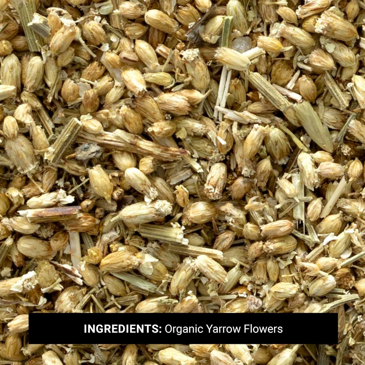 Frontier Co-op Organic Cut & Sifted Yarrow Flowers, Kosher | 16 Ounce (Pack of 1)