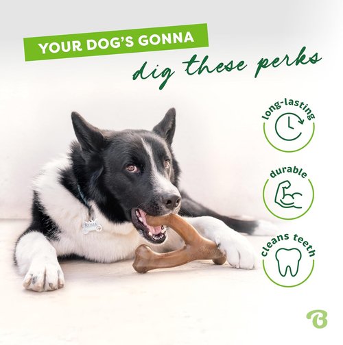 Benebone Wishbone Dog Chew Toy - Durable Real Bacon Flavor for Aggressive Chewers | Medium Size