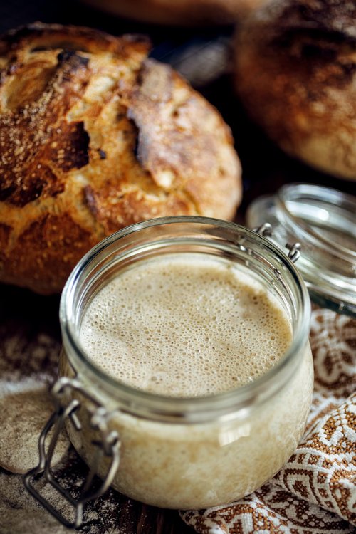 German Sourdough Starter - Active Sourdough Starter for Delicious Homemade German Artisan Bread - Heirloom Sourdough from Germany
