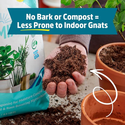 Back to the Roots 100% Organic Potting Mix - 12 Quart Value Bag | Promotes Healthy Houseplant Growth