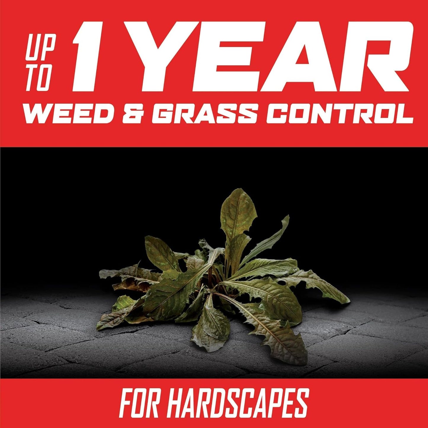 Ortho GroundClear Year-Long Vegetation Killer Refill - Kills Weeds & Grasses for 1 Year | 1 Gallon