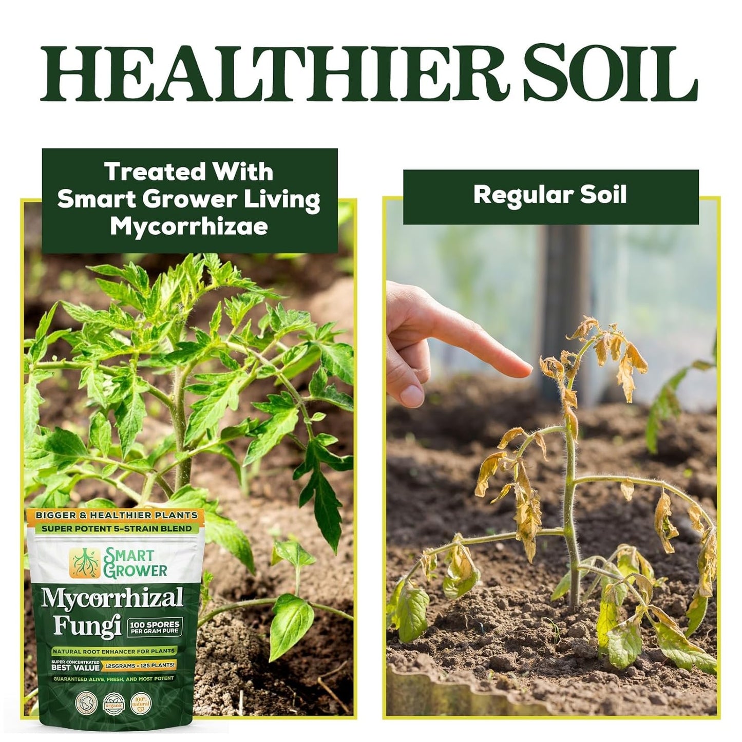 Mycorrhizae Smart Grower | Organic Root Enhancer for Plants - 100 Spores/G, 5-Strain Blend, 125g for 125 Plants