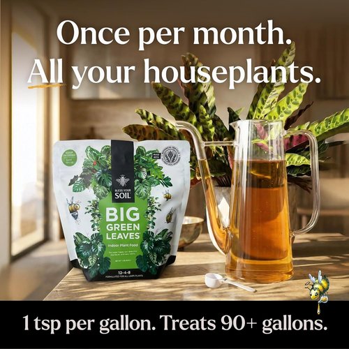 Big Green Leaves Indoor Plant Food - 4X Concentrated Fertilizer with Sea Kelp - Makes 90 Gallons - Fast-Acting Formula (1 lb)