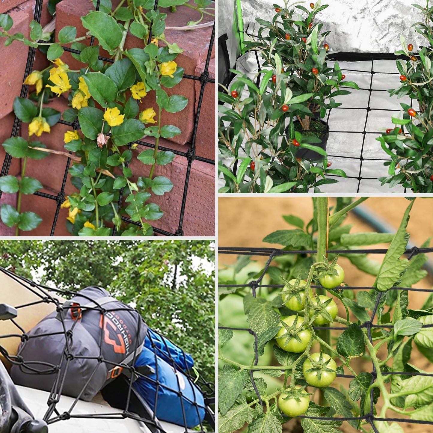 VIVOSUN 4 x 4Ft. Elastic Trellis Netting with 4 Hooks for Climbing Plants, Vegetables, Fruits, and Flowers, 1-Pack