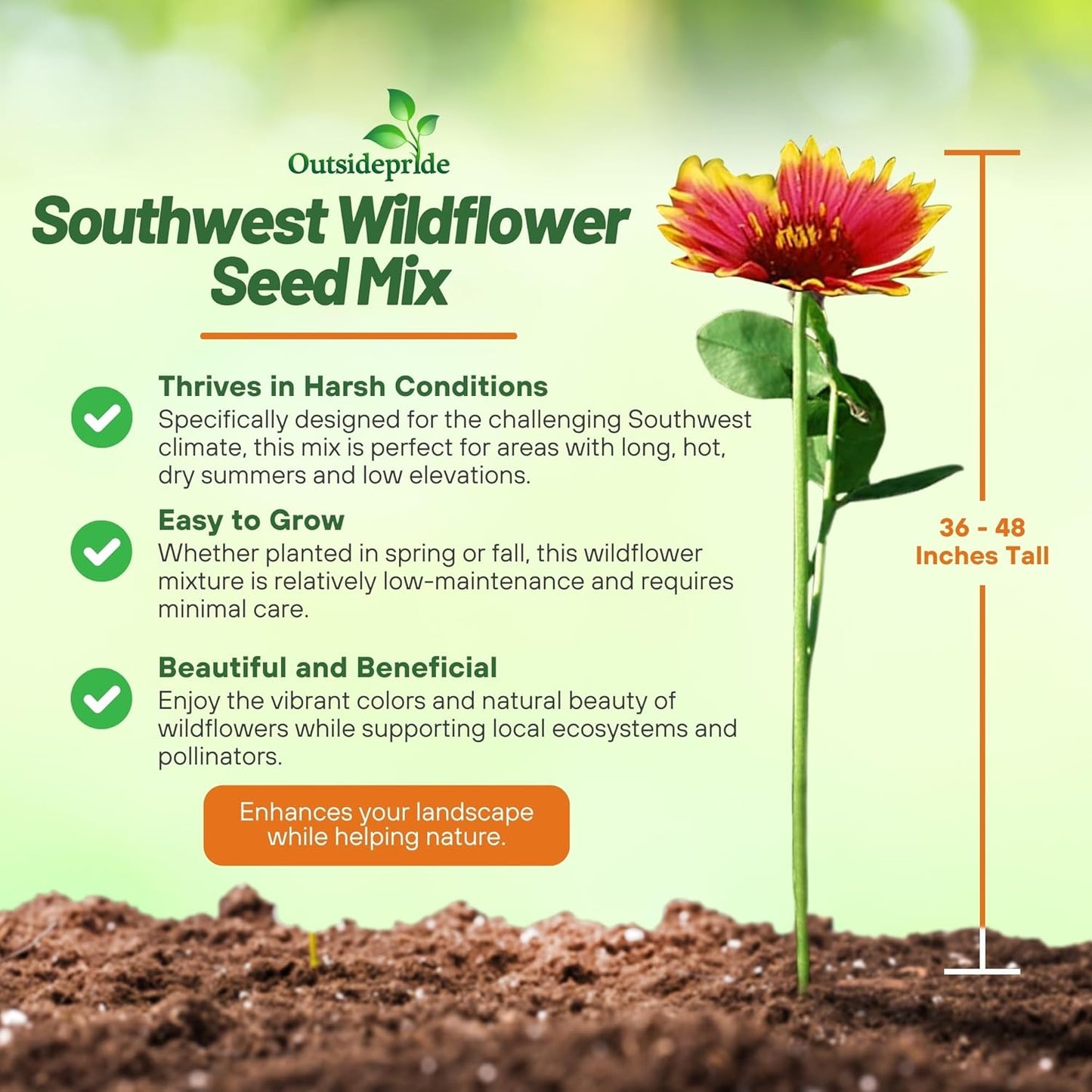 Outsidepride Southwest Wildflower Seed Mix - Premium Heat & Drought Tolerant Blend | 1/4 lb for Vibrant Gardens