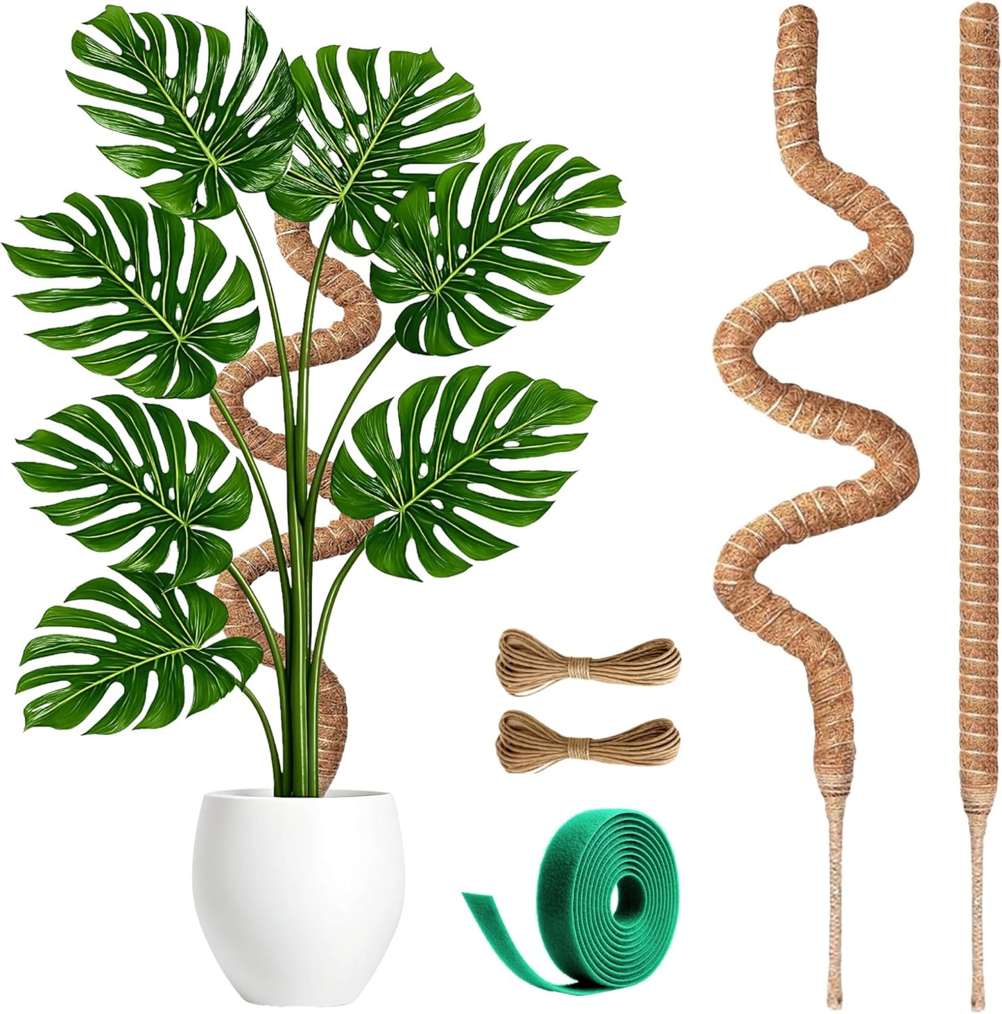 Skiennix 30-Inch Moss Pole - Handmade Coco Coir Support for Climbing Plants | 2-Pack for Monstera Growth