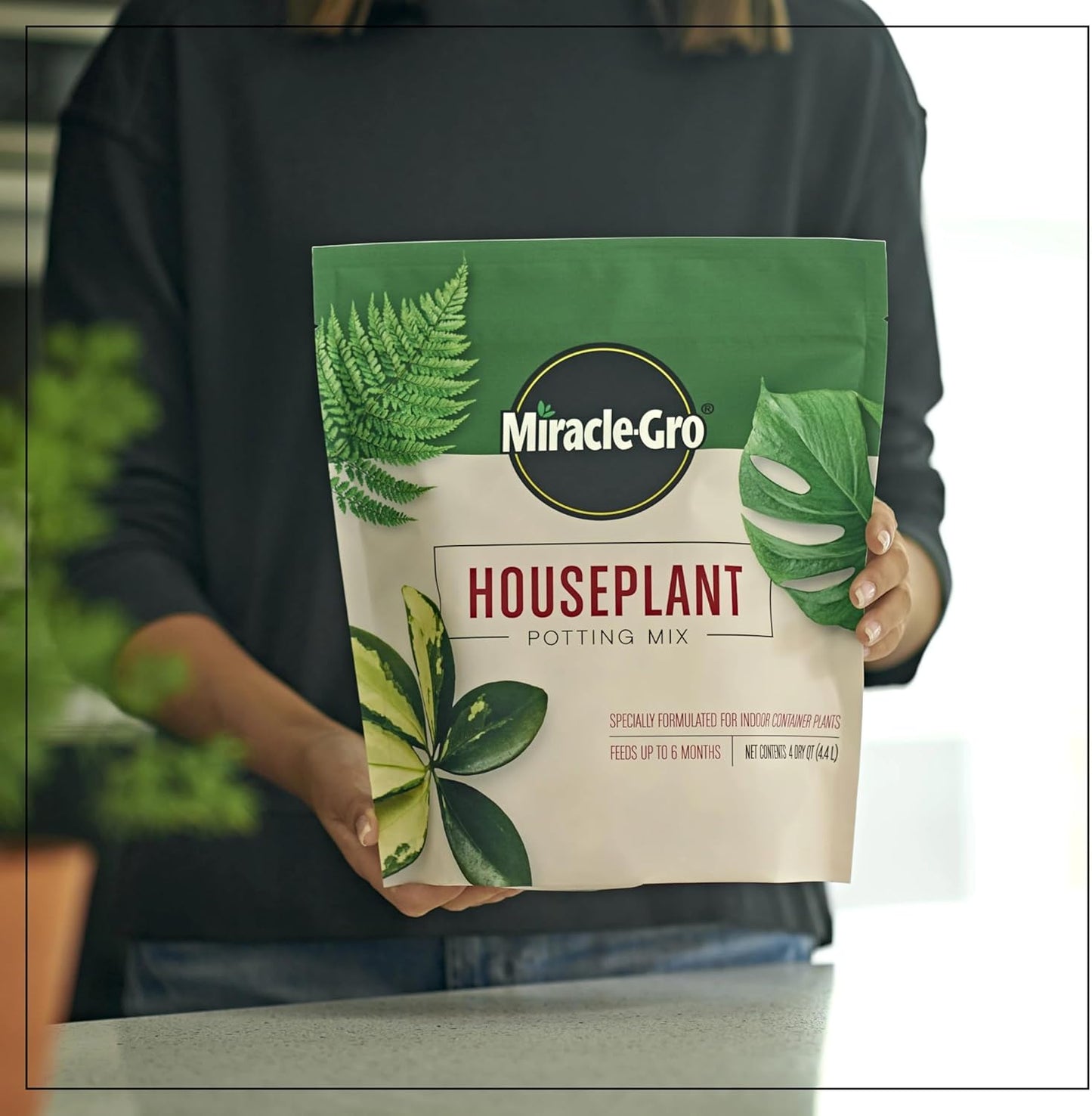 Miracle-Gro Houseplant Potting Mix - Fertilized Indoor Soil for Containers | Less Gnats, 4 Qt