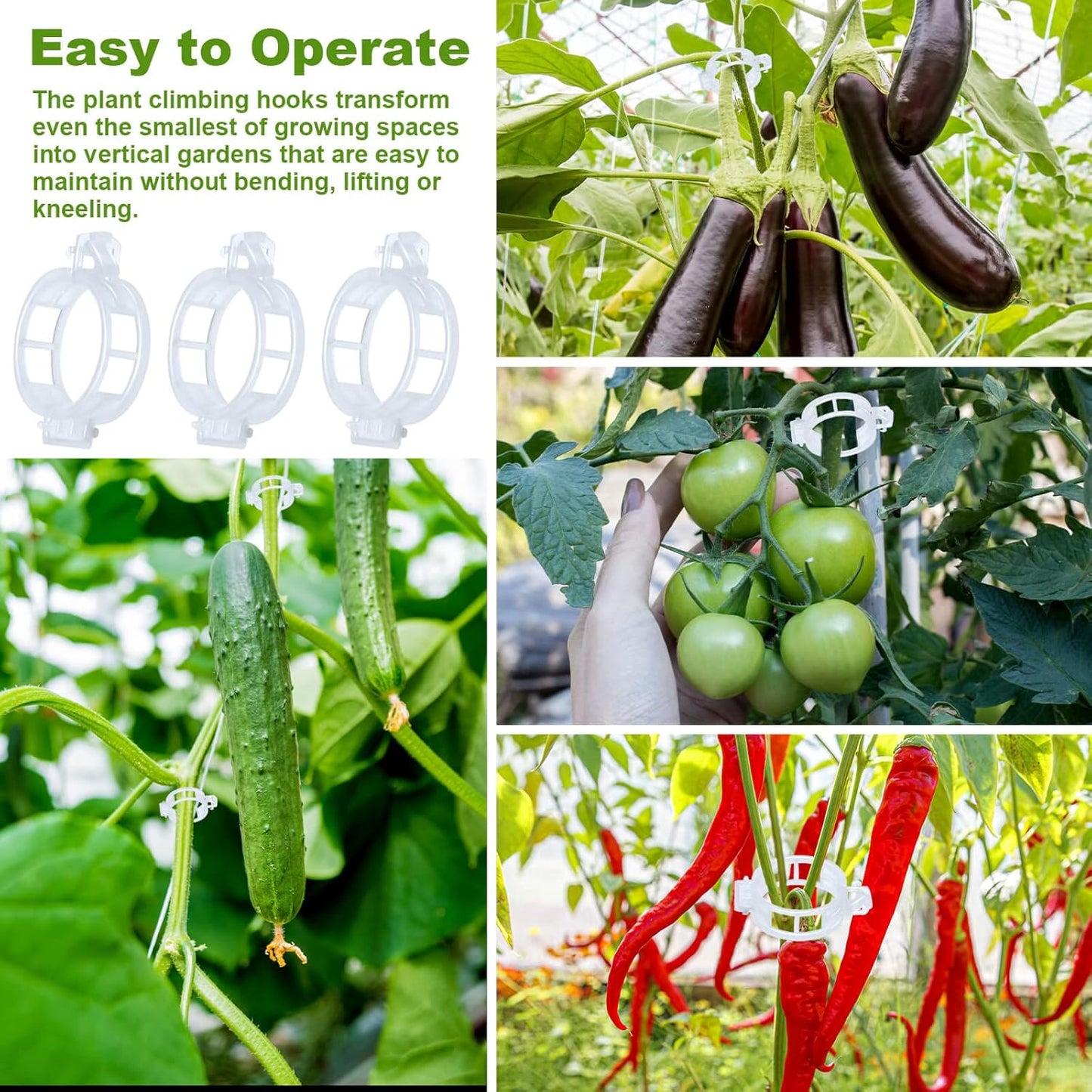 Skiennix 60Pcs Tomato Support Hooks - Durable Plant Clips with 33.3ft Twine for Secure Growth