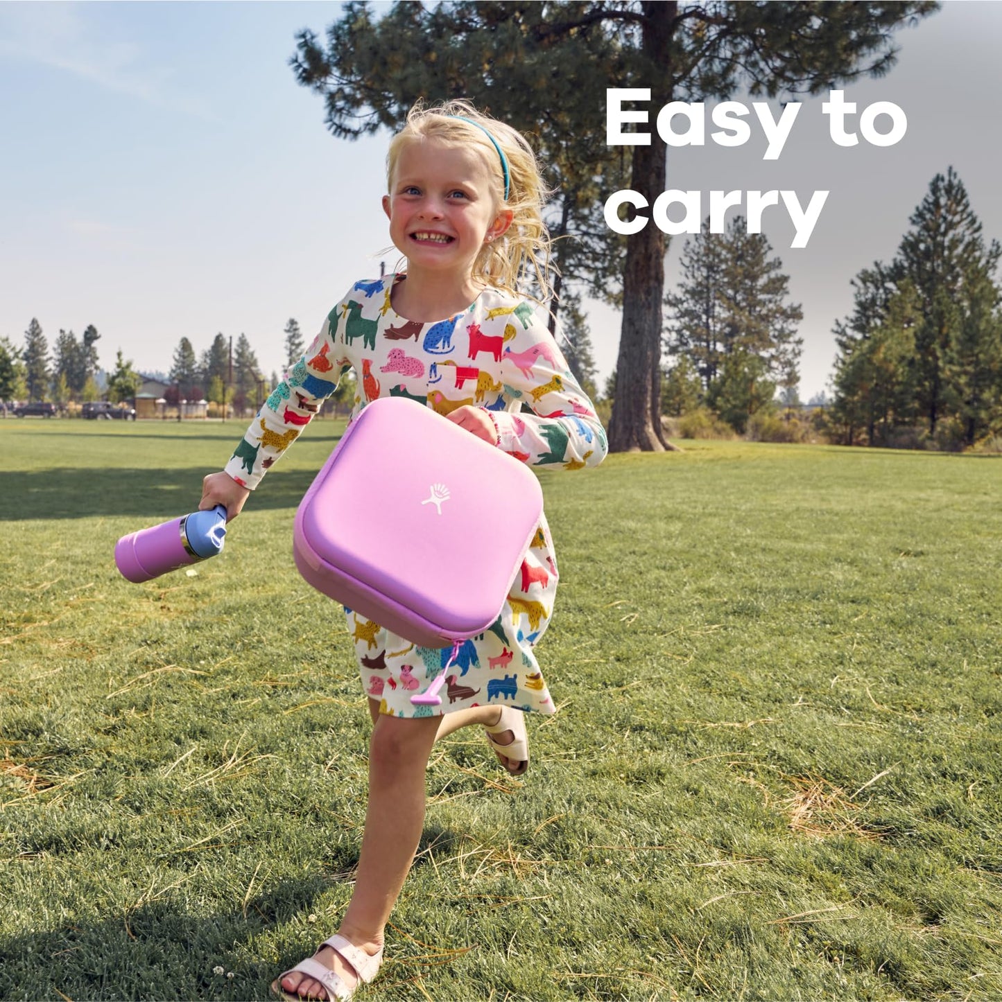 Hydro Flask Kids Small Insulated Lunch Box Seaspray