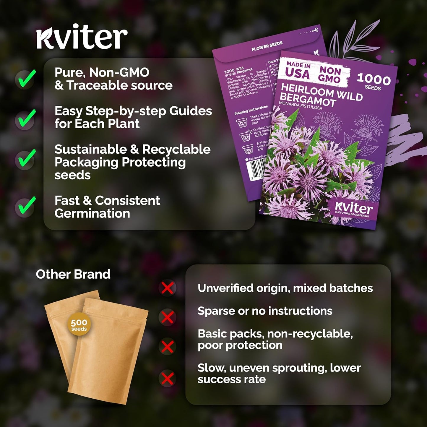 KVITER Wild Bergamot Seeds (Monarda Fistulosa) - Organic Non-GMO Pollinator Magnet | 1,000 Perennial Flower Seeds for Your Garden