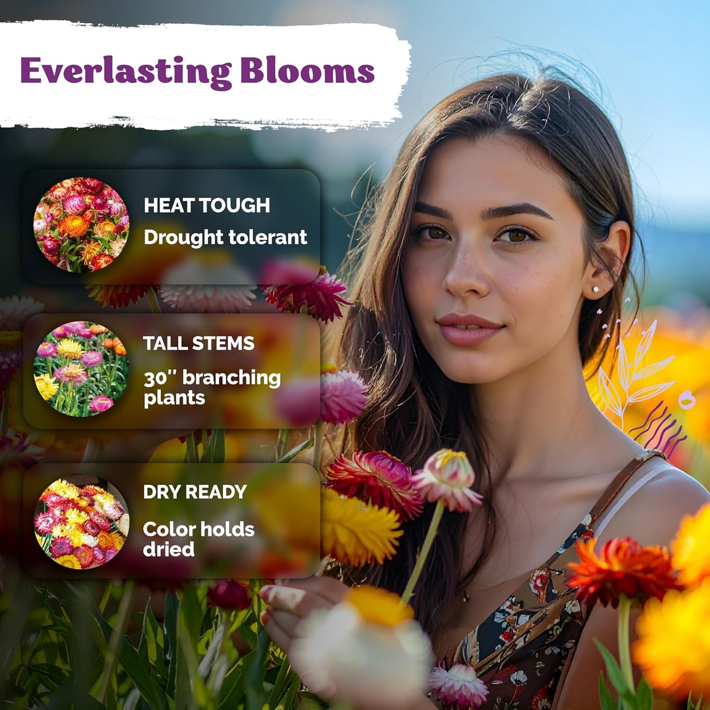 KVITER Tall Mix Strawflower Seeds - 1,500 Organic Heirloom Golden Everlasting Flower Seeds for Planting & Drying
