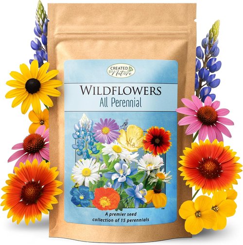 Created By Nature Perennial Flower Seeds - 15 Varieties | 49,000 Wildflower Seeds for Vibrant Gardens