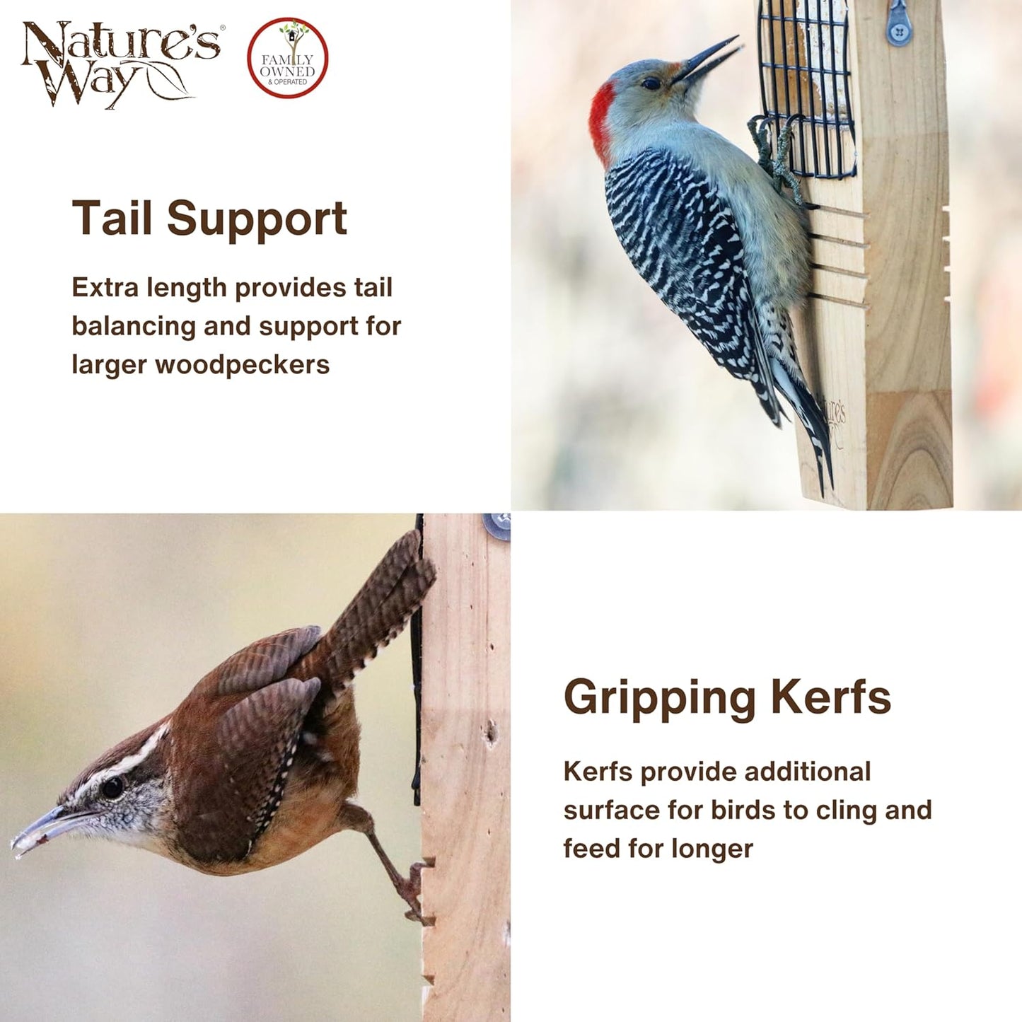 Nature's Way Bird Products Suet Bird Feeder - Tail-Propping Design | 12"H x 7.875"L x 3"W, Brown