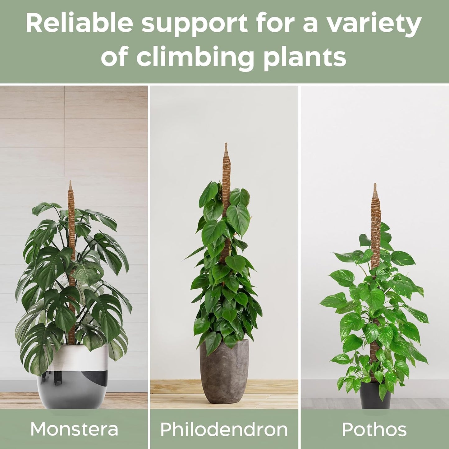 K-Brands Coco Coir Moss Poles - 4 Pack Plant Support for Climbing Monstera - 2 x 42'' & 2 x 25''