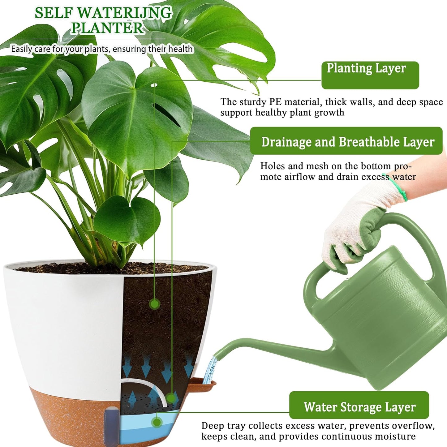 Skiennix Self-Watering Pots - Large 8/10/12 Inch Indoor/Outdoor Planters with Drainage Holes & Water Level Indicator (White)