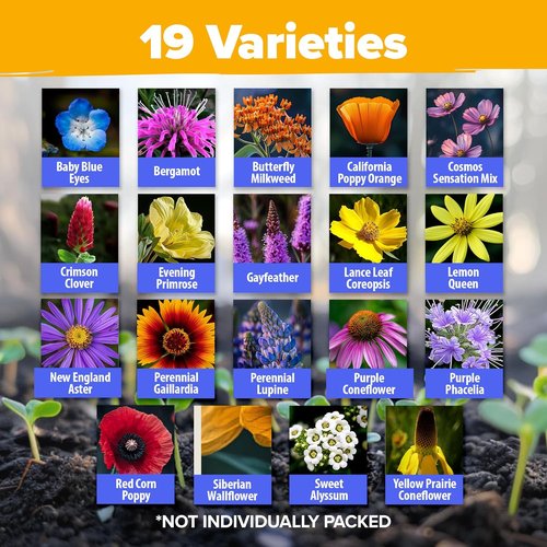 HOME GROWN Premium Wildflower Seeds Bulk Mix - 59,300+ Seeds in 19 Varieties for Pollinators | Perennial & Annual Seed Mix