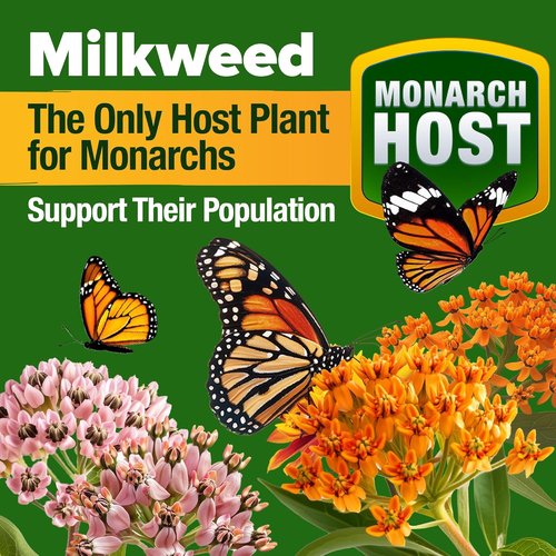 HOME GROWN Premium Monarch Butterfly Wildflower Seeds Mix - 20,000+ Non-GMO Milkweed Seeds for Pollinator Gardens | 2oz Perennial Flower Blend