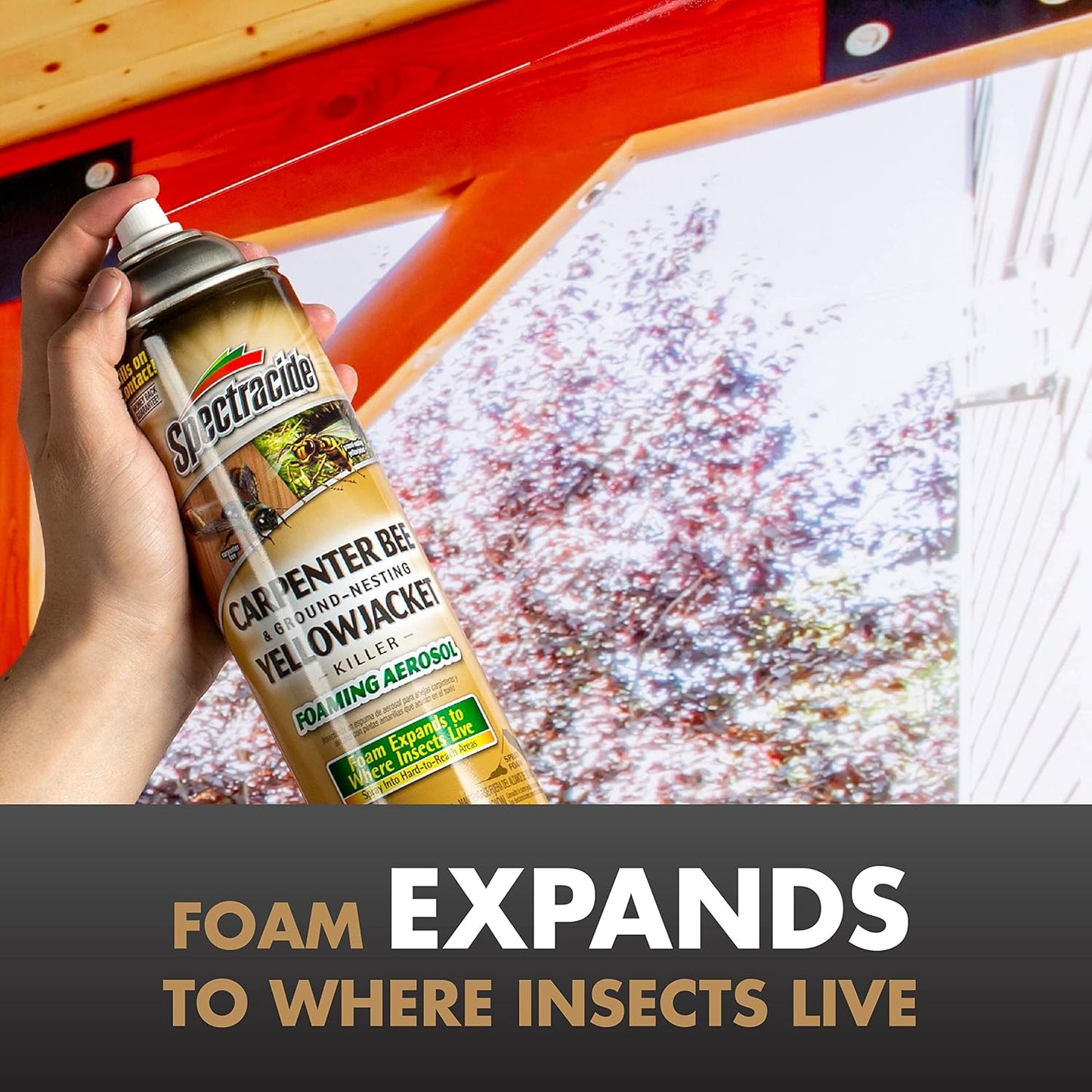 Spectracide Carpenter Bee & Yellowjacket Killer - Foaming Aerosol, 16 Ounces | Targets Insect Nests