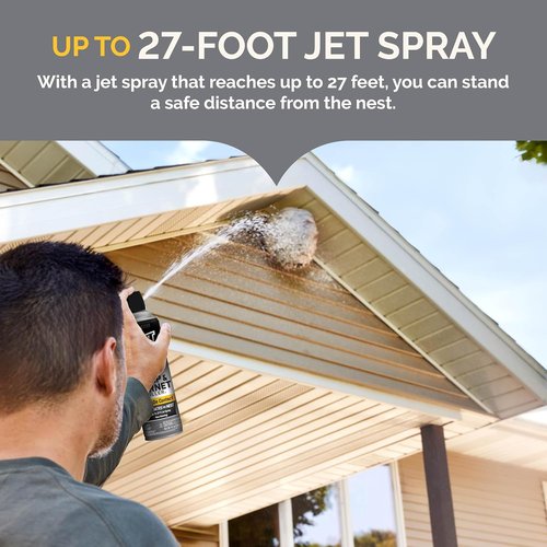 Hot Shot Wasp & Hornet Killer - Powerful 27-Foot Jet Spray - 14 Ounce Aerosol, 2 Pack
