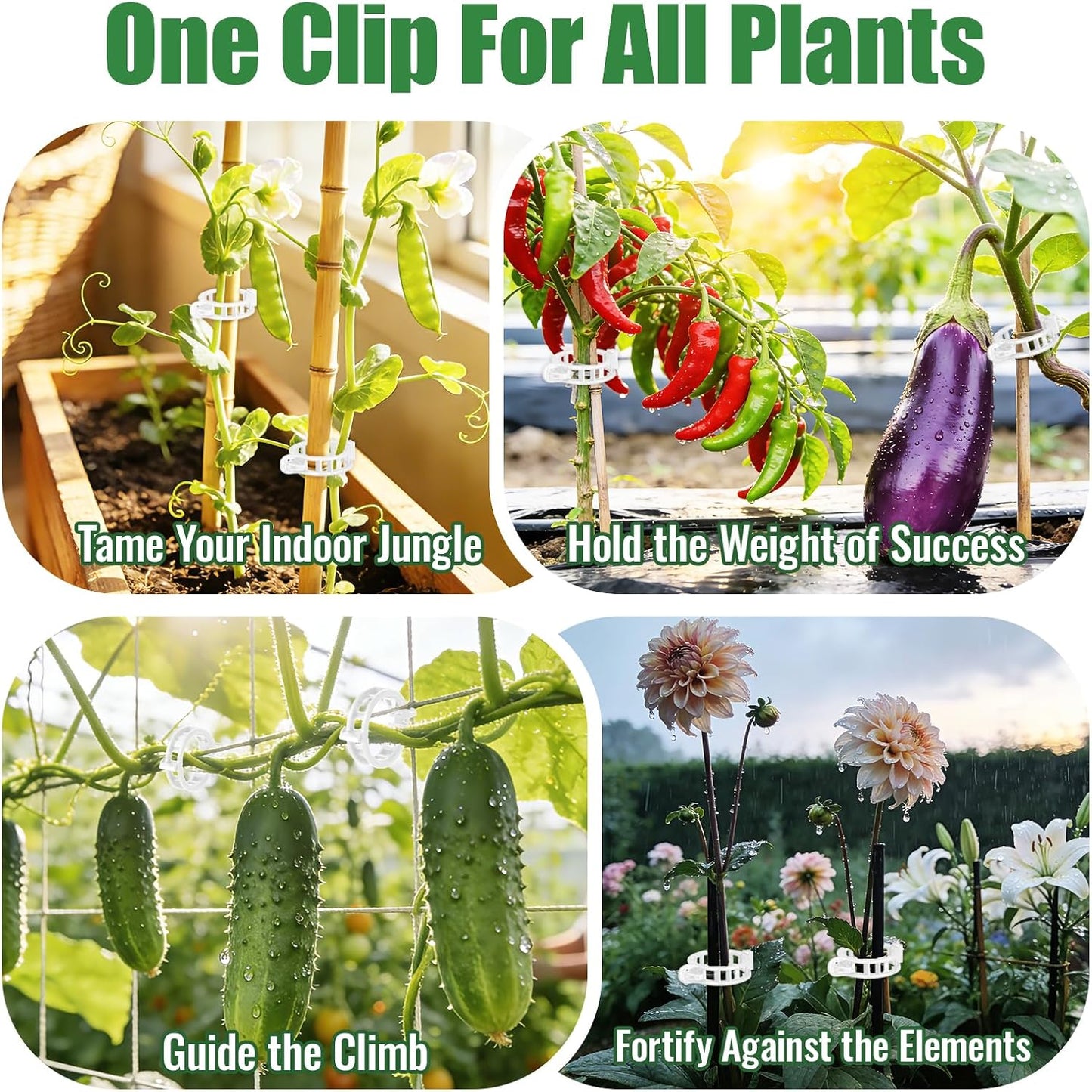 SZUAH Tomato Clips - 300Pcs Thickened Plastic Trellis Clips for Healthy Vegetable Growth