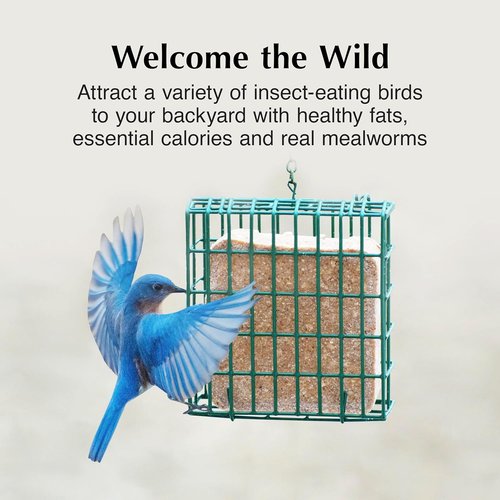 C&S Mealworm Delight Suet Cakes - No Melt Formula for Wild Birds | 11.75 Ounces, Pack of 8