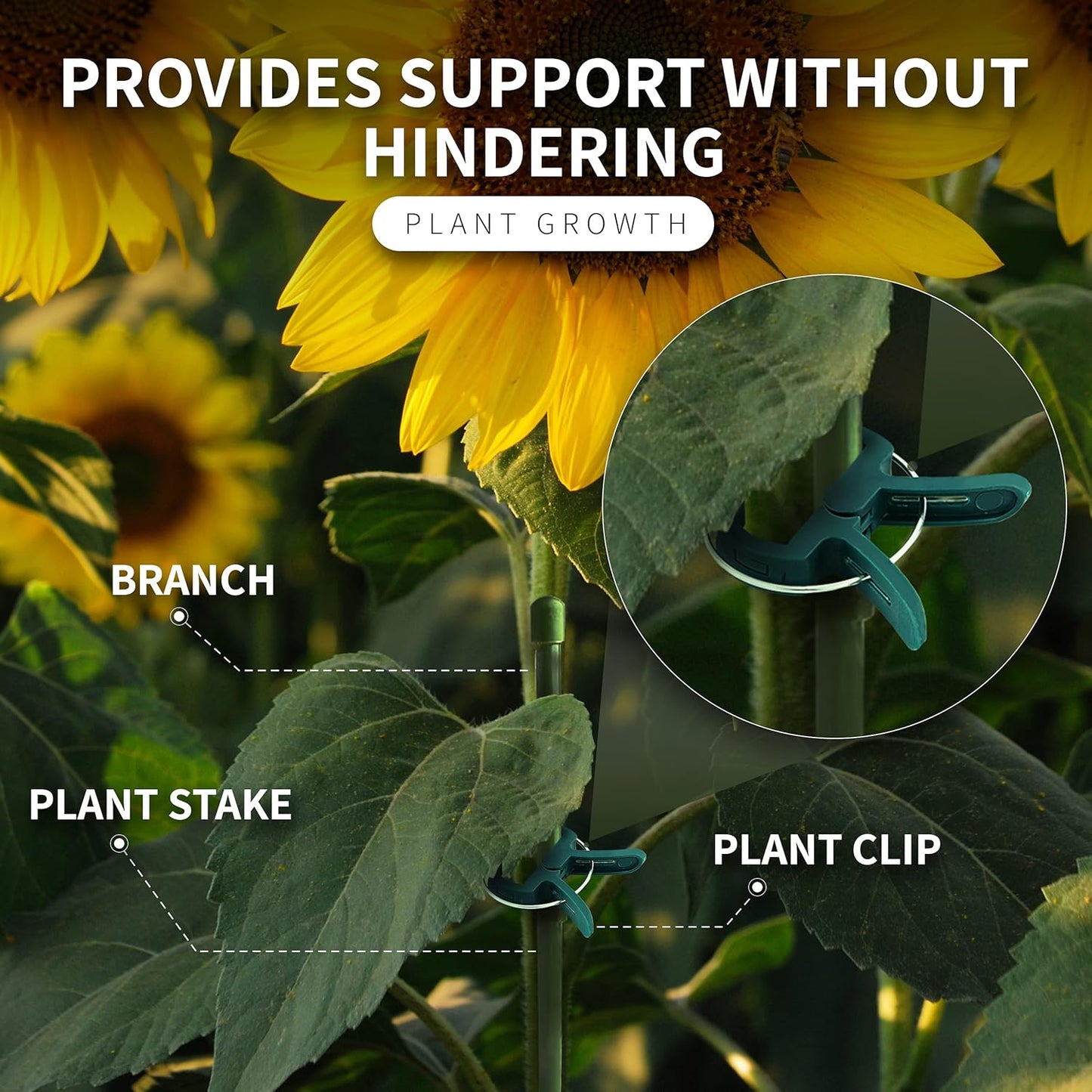 RamPro Plant Clips - 40 Piece Green Gardening Tool for Supporting Stems & Vines