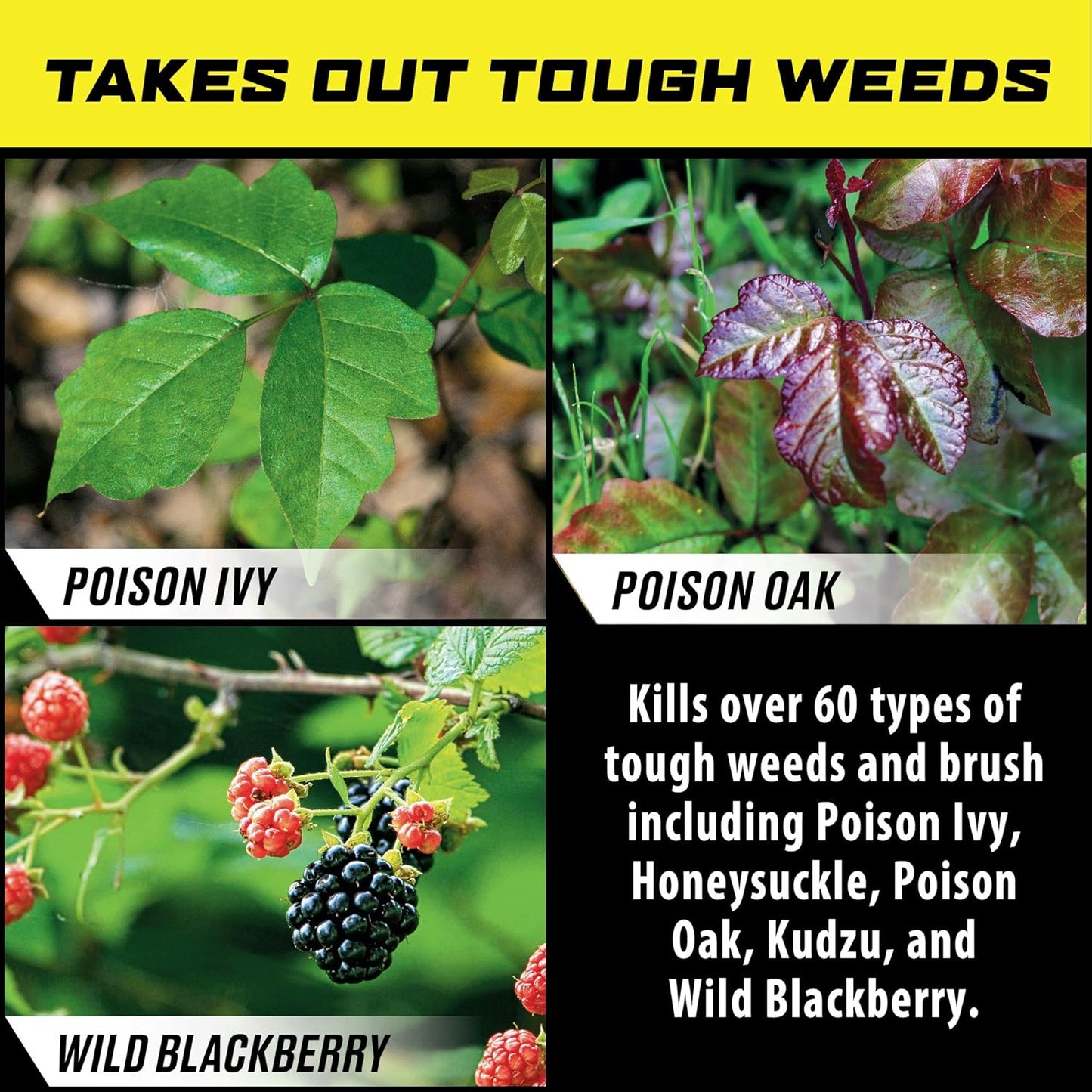 Ortho GroundClear Poison Ivy & Tough Brush Killer - Ready to Use with Comfort Wand | 1.33 Gallon