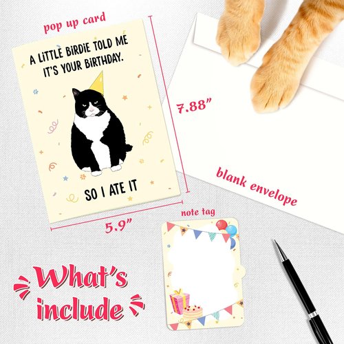 4BO Black Cat Pop Up Birthday Card, Funny Cat Birthday Card, Handmade Greeting Cards for Cat Lovers, 3D Greeting Card, Fun Birthday Gifts Card for Women, Men