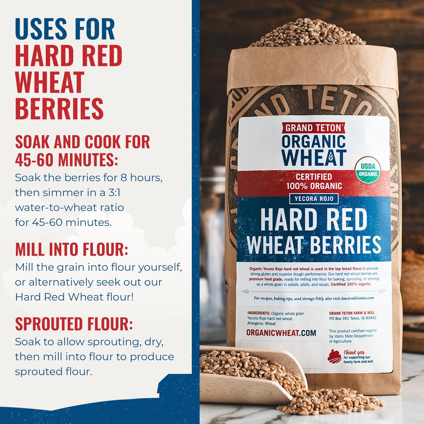 Yecora Rojo Hard Red Wheat Berries by Grand Teton Organic Wheat | Organic Hard Red Spring Wheat Berries for Baking Whole Grain Breads or Milling Into Flour | Non-GMO, (15 Pounds)