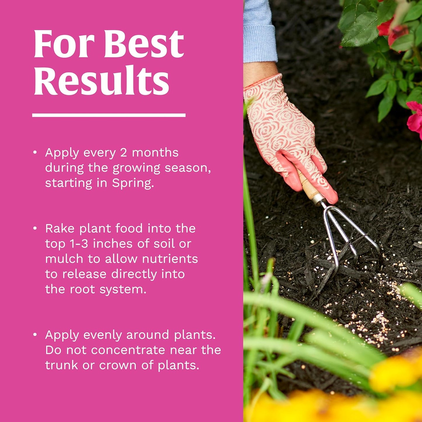 Scotts Rose & Bloom Plant Food - Continuous Release Formula for Vibrant Blooms | 3 lb