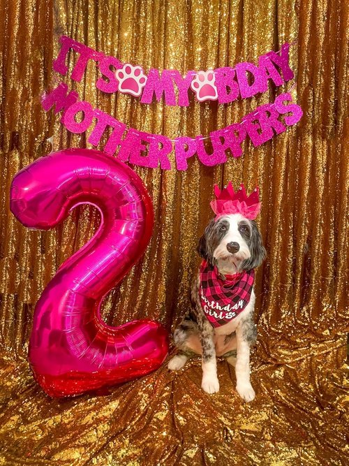 40 Inch Rose Purple Number 8 Balloon - Perfect for 8th Birthday Celebrations & Events