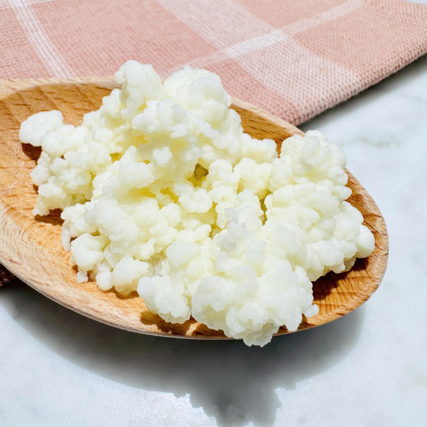 NatuDelight Kefit - Live Milk Kefir Grains, 1 TBSP Starter Culture for Home Production