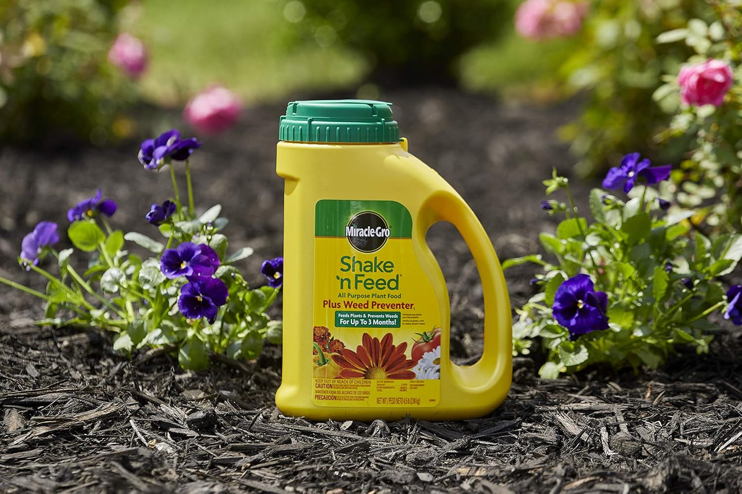 Miracle-Gro Shake 'N Feed All Purpose Plant Food - Prevents Crabgrass & Weeds | 4.5 lb