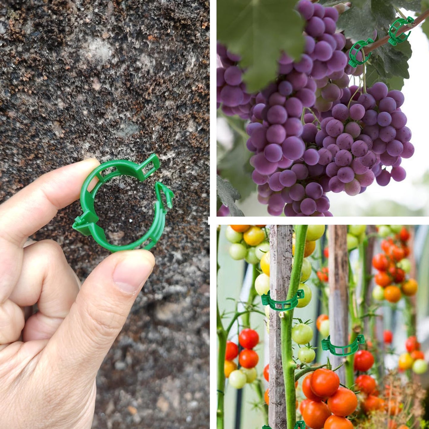 Skiennix Plant Support Clips - 100 Pcs Durable Plastic Trellis Clips for Healthy Vegetable Growth