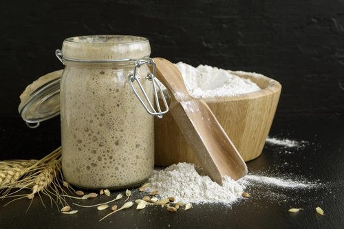 German Sourdough Starter - Active Sourdough Starter for Delicious Homemade German Artisan Bread - Heirloom Sourdough from Germany