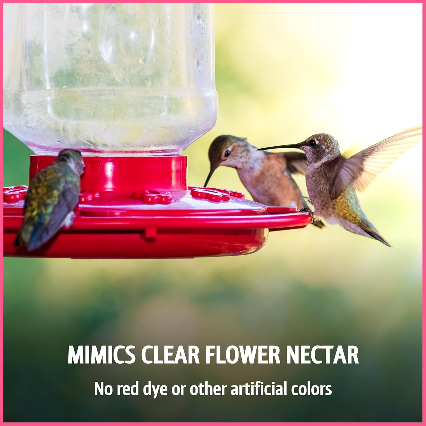 Pennington Hummingbird Nectar - Ready to Use, Naturally Colored with Electrolytes | 64 oz Bottle